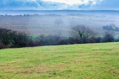 Terrain non constructible ne signifie pas terrain non exploitable ! © VvoeVale – Getty Images