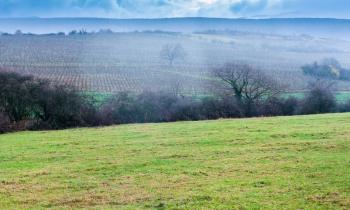 Terrain non constructible ne signifie pas terrain non exploitable ! © VvoeVale – Getty Images