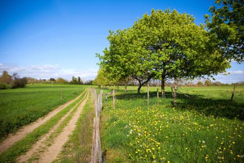 Construire sur le terrain d'un des époux : à qui appartient la maison ?  