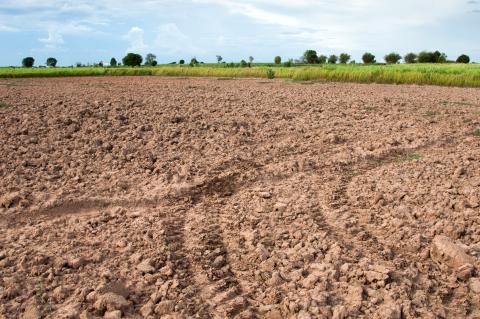 Sols pollués : le vendeur devra mieux informer l'acquéreur